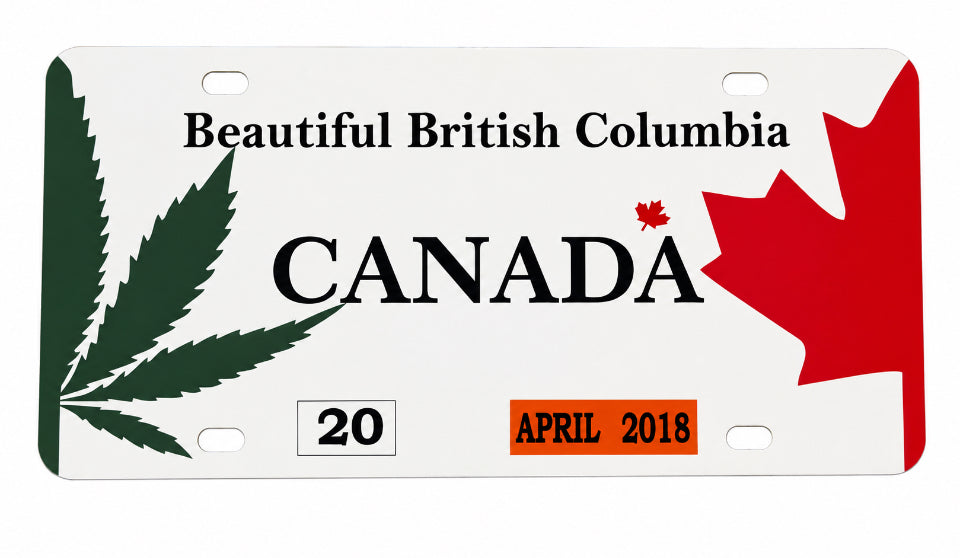 license plate