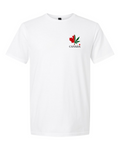 classic cotton t-shirt